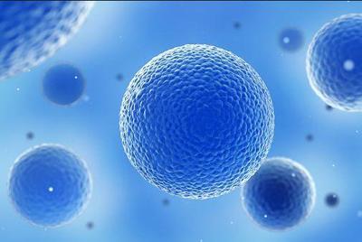 84次临床验证 胎盘干细胞移植安全性获科学实证，干细胞技术开发迈入新阶段