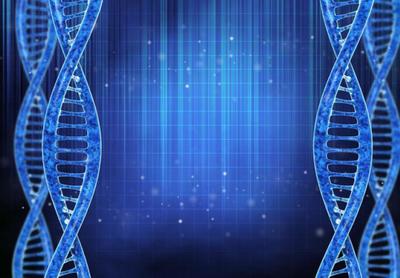 上海争取外商投资准入干细胞技术开发 开启生命科学新篇章