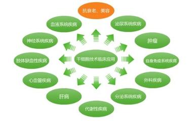 未来五年 中国干细胞产业迈向300亿收入时代的技术开发路径与展望